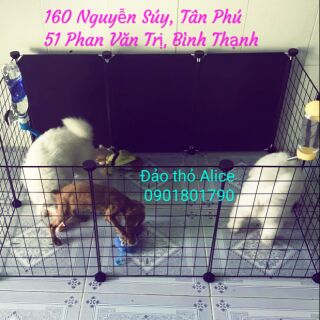 Chuồng ghép cho cún cưng