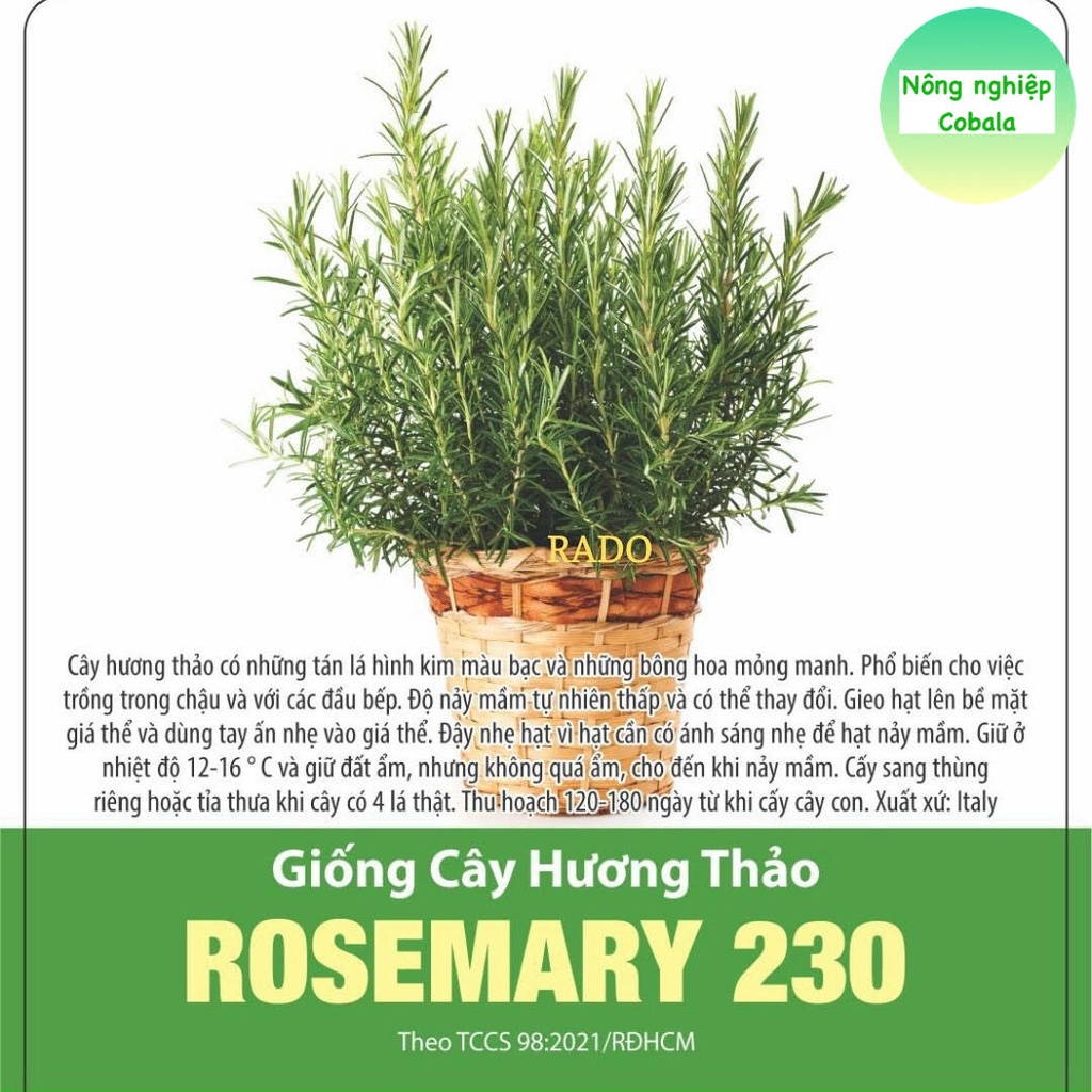 Hạt Giống Cây Hương Thảo Rosemary 0.03gr