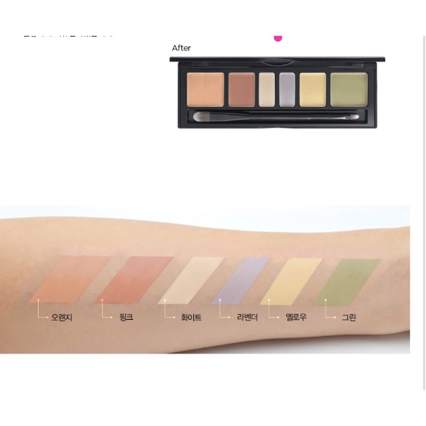 Bảng che khuyết điểm chuyên nghiệp JUNG SAEM MOOL ARTIST CONCEALER PALETTE