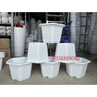 Sét 10 chậu lục giác màu trắng fa 350, fa380, fa450, fa480 màu trắng đủ size