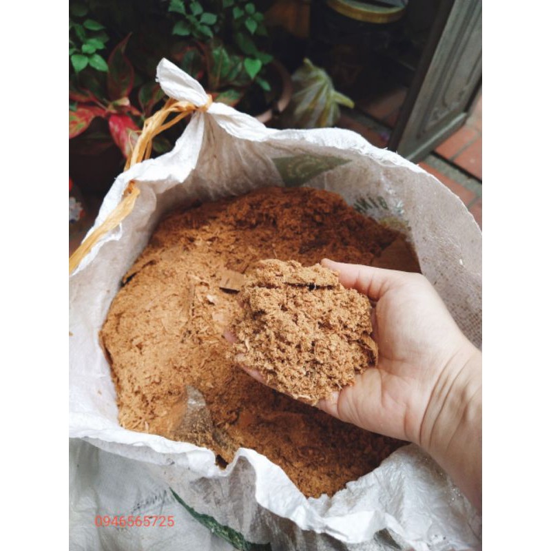 1 kg Vụn gỗ ngọc am nguyên chất thơm ngào ngạt