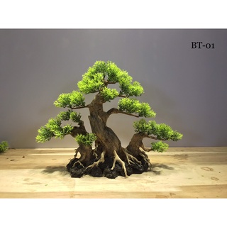 Lũa bonsai cho hồ thủy sinh size lớn