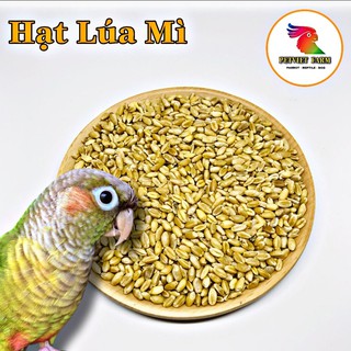 LÚA MÌ - GÓI 1KG