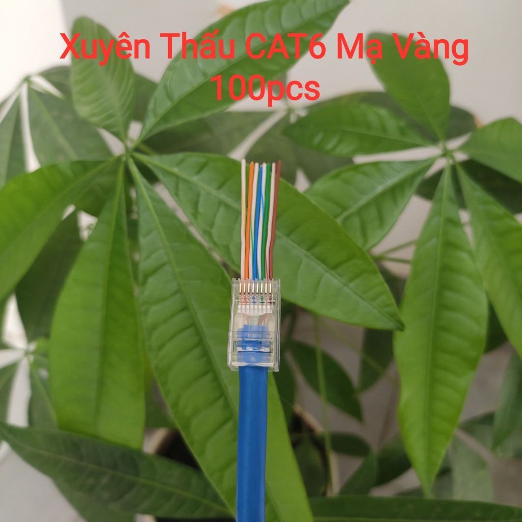 Đầu Mạng Xuyên Thấu rj45 CAT6 Mạ Vàng chuẩn tiếp xúc tốt (Hộp 100 con)