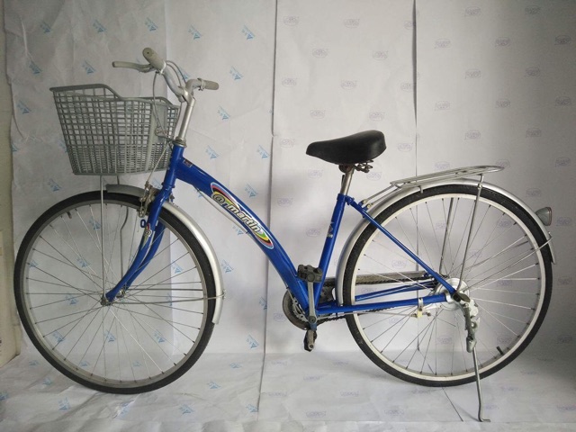 Xe đạp martin xanh dương đã sử dụng còn tốt hàng đẹp