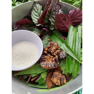 1 cây bán tự cảnh (trà dr thanh)