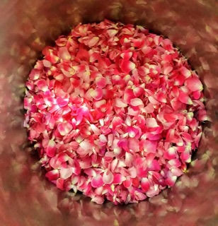 Bột cám gạo hữu cơ ( nhà làm)