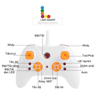 Xe nhảy kỳ thú – BOUNCE CAR
