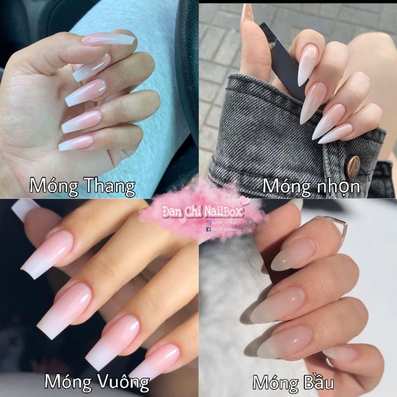 NailBox móng úp thiết kế sẵn Mẫu Đen Mix Bò Sữa