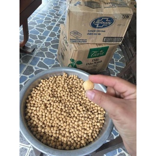 BÁNH CÀ NGHỆ AN