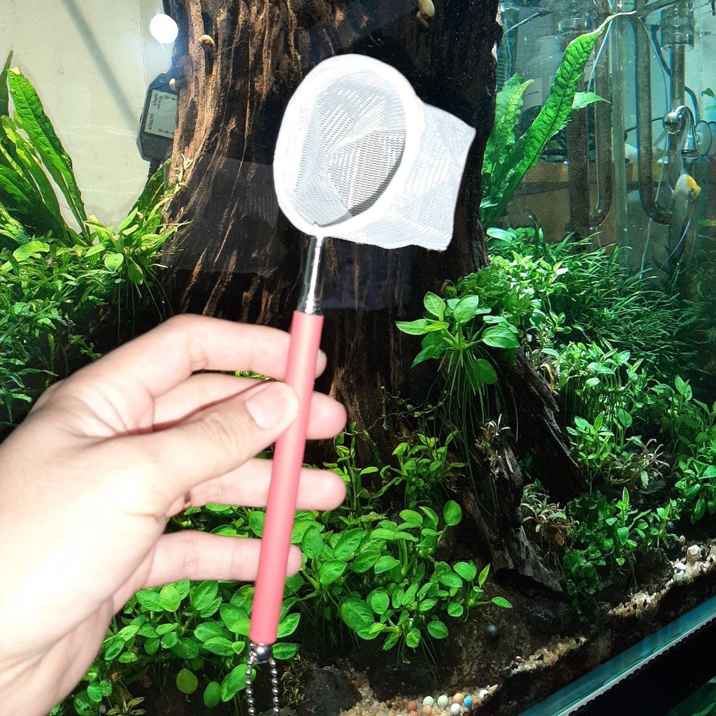 Vợt Tép 3D inox - Vợt Tép Xếp Khúc Nhỏ Gọn