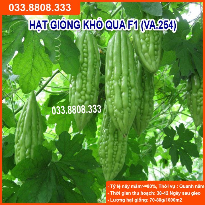 HẠT GIỐNG QUẢ KHỔ QUA ( MƯỚP ĐẮNG )  GIỐNG TỐT, NẢY MẦM NHANH