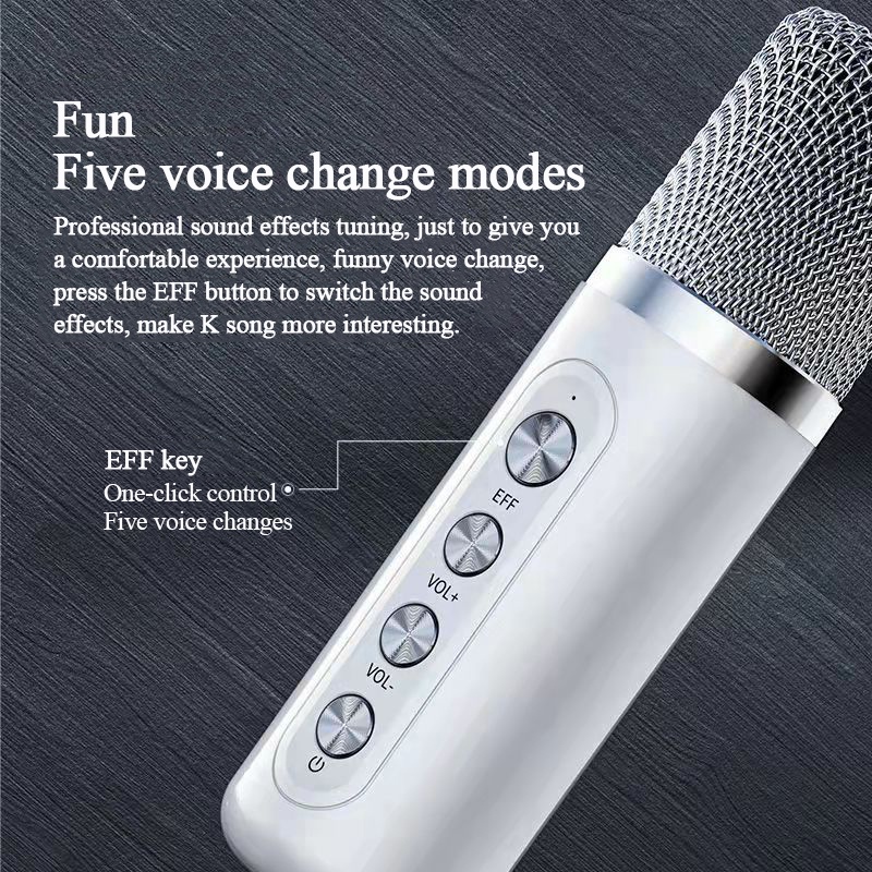 Máy Hát Karaoke YS-203 Không Dây Tích Hợp Micro Chất Lượng Cao Loa bluetooth karaoke