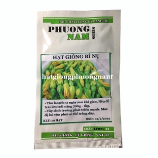 10 H - HẠT GIỐNG BÍ NỤ