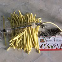 Đầu đút bột cho Vẹt non