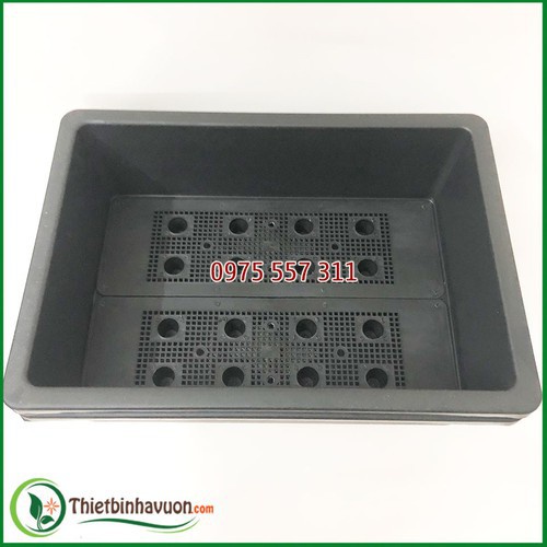 Combo 5 Chậu nhựa trồng rau cỡ lớn Khay trồng rau thế hệ mới size 67cm x 42cm x 17cm