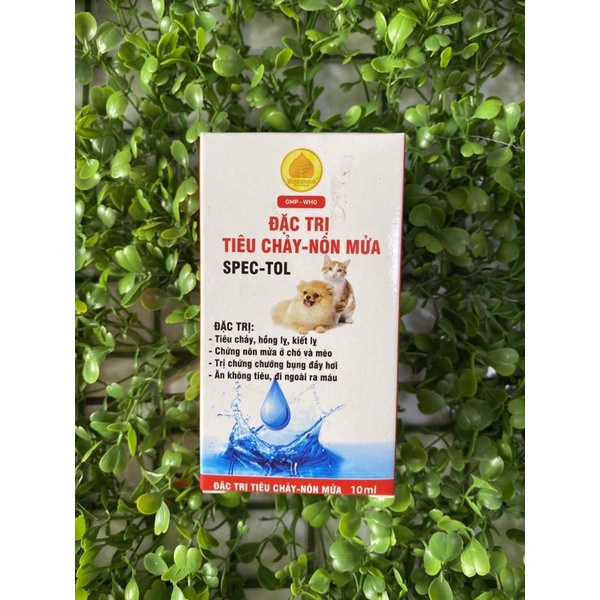 Đặc trị tiêu chảy- nôn mửa / trợ sức - tăng lực Win group