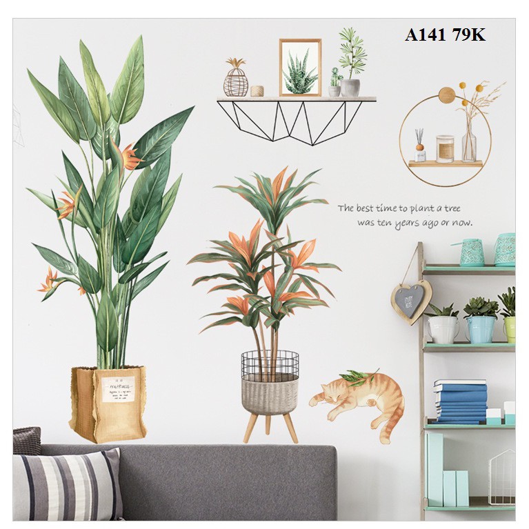 Decal dán tường chậu cây A54 - Decal dán tường Hàn Quốc