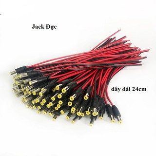 Jack DC 5.5 2.1 đực cái có dây 24cm
