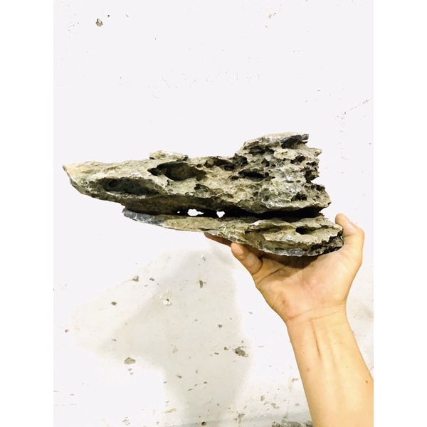 1kg Đá Vỉa Thuỷ Sinh