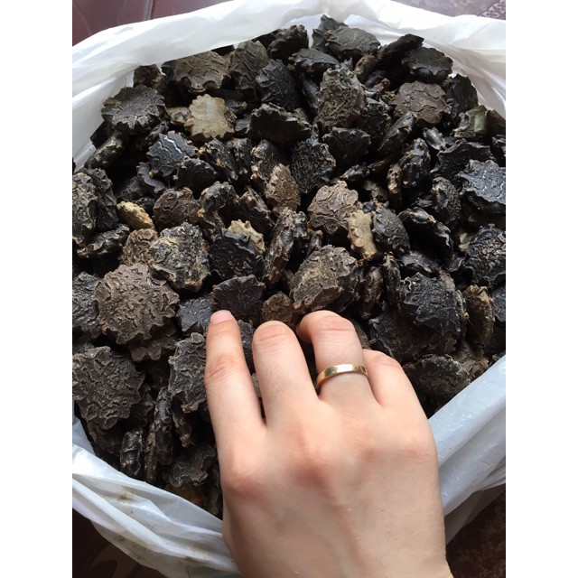 1kg Hạt Gấc Khô (Mộc miết tử) loại tốt | BigBuy360 - bigbuy360.vn