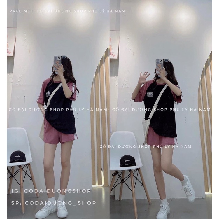 [ Rẻ vô địch ] Set bộ đùi phối raplang chất cotton