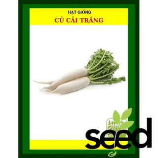 Hạt Giống Củ Cải Trắng 50 Gram