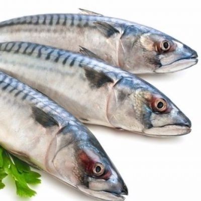 Cá nục 1kg