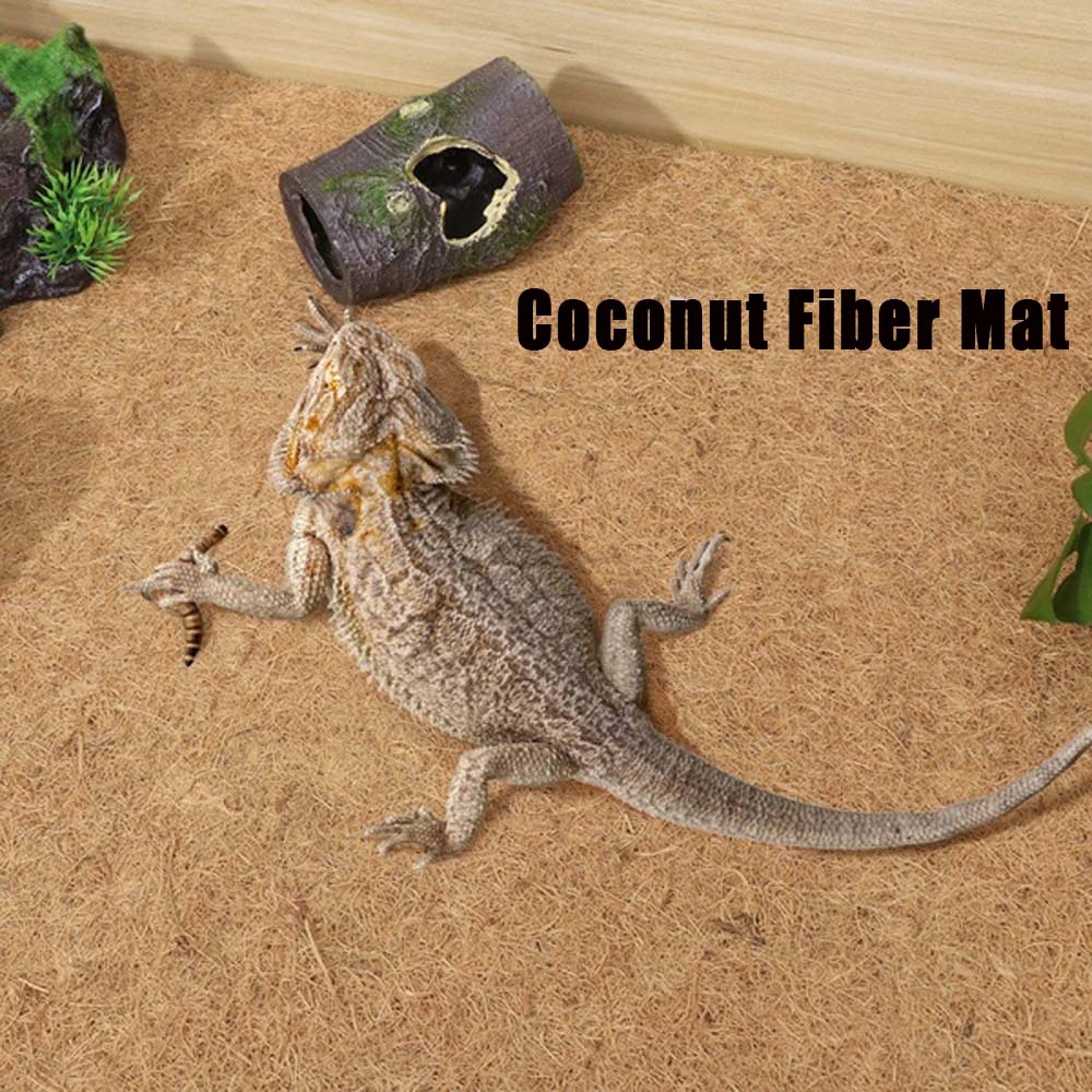 SJJL Thảm lót bằng xơ dừa độc đáo cho chuồng nuôi rùa