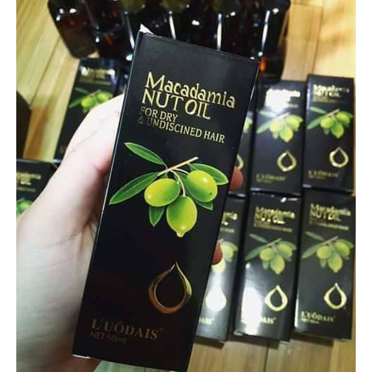 Tinh Dầu Dưỡng Tóc Maca Damia Nut Oil,Thấm vào tóc nhanh và nuôi dưỡng từ lõi tóc | BigBuy360 - bigbuy360.vn
