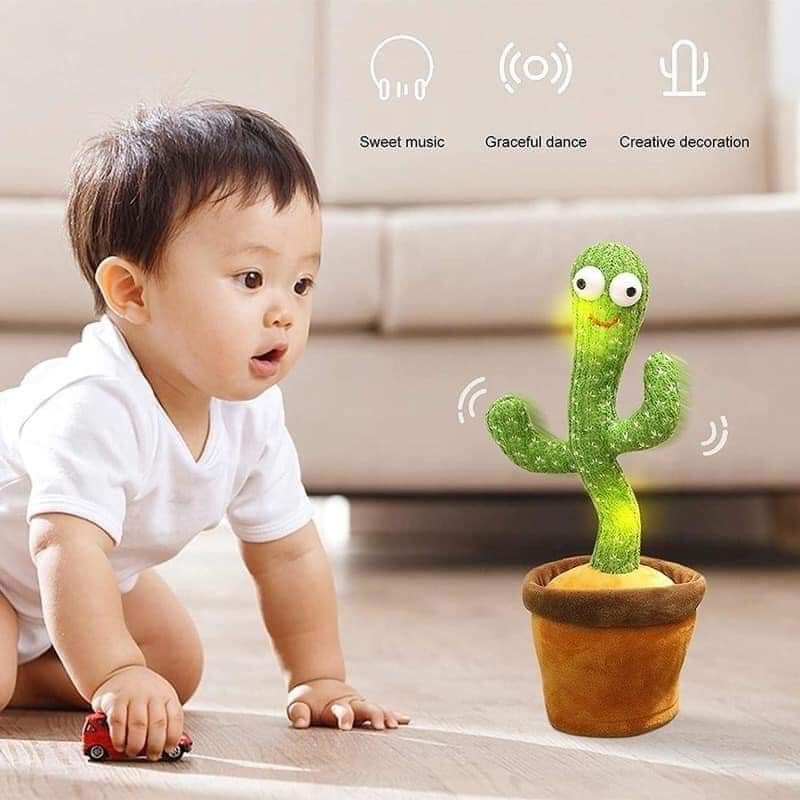 CÂY XƯƠNG RỒNG NHẢY MÚA NHẠI TIẾNG, PHÁT NHẠC