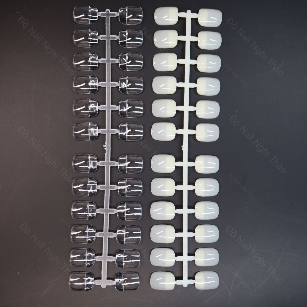 Móng mẫu vuông tập vẽ form Hàn Quốc JELIVA