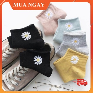 Tất/Vớ Bông Cúc Len hàn quốc