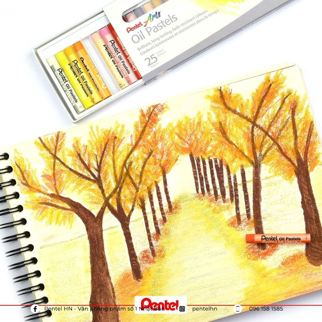 Sáp Màu Dầu Nhật Bản Pentel Oil Pastel PHN Bộ 12/16/25/36/50 Màu | Màu Sắc Tươi Sáng | An Toàn Không Độc Hại | Phấn Dầu|