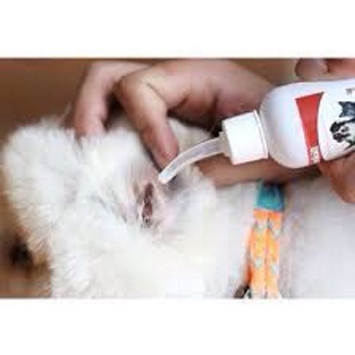 Dung dịch vệ sinh tai Chó Mèo Bioline Ear Care Chai 50ml Trị viêm tai, Làm sạch tai, Khử mùi hôi, Diệt ký sinh trùng