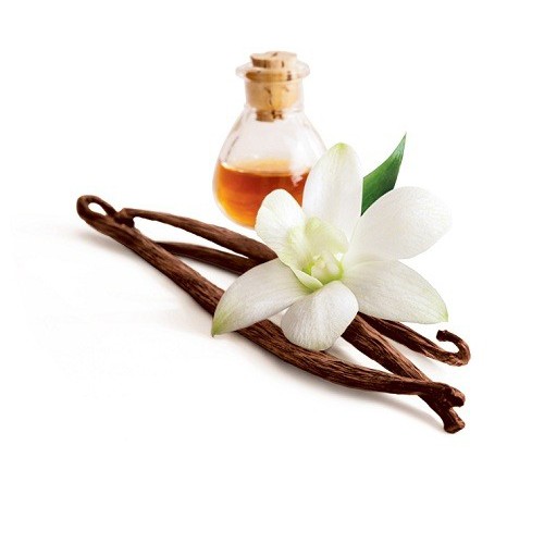 HƯƠNG VANILLA