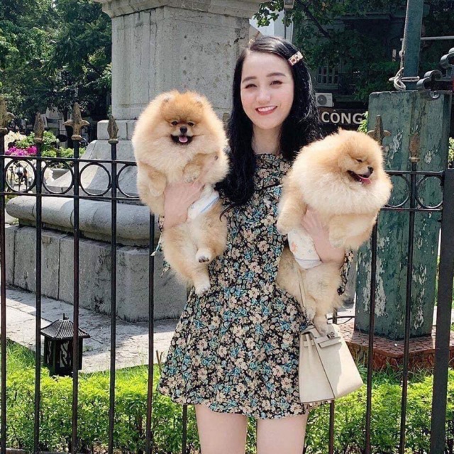 Váy hoa zara auth