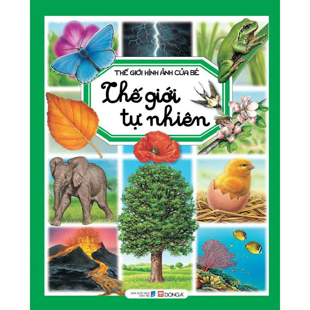 Sách - Bộ Thế Giới Hình Ảnh Của Bé (Cuốn Lẻ) - Đông A - DAB