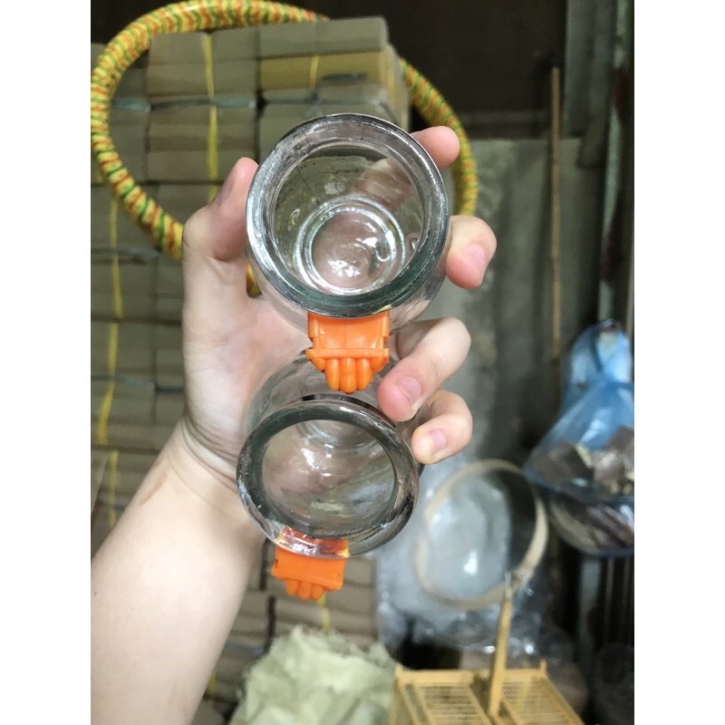 Cóng thuỷ tinh lồng chim chào mào, chích choè, hoạ mi, cu gáy-Cóng giác quai liền Phụ kiện Huyền Trần