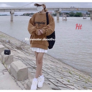 Áo nỉ bo SINGULA nỉ cotton HT12