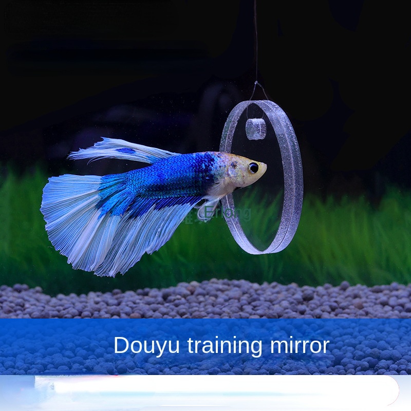 Gương Acrylic Hai Mặt Dạng Bóng Tròn Có Giác Hút Dùng Luyện Tập Chiếu Hậu