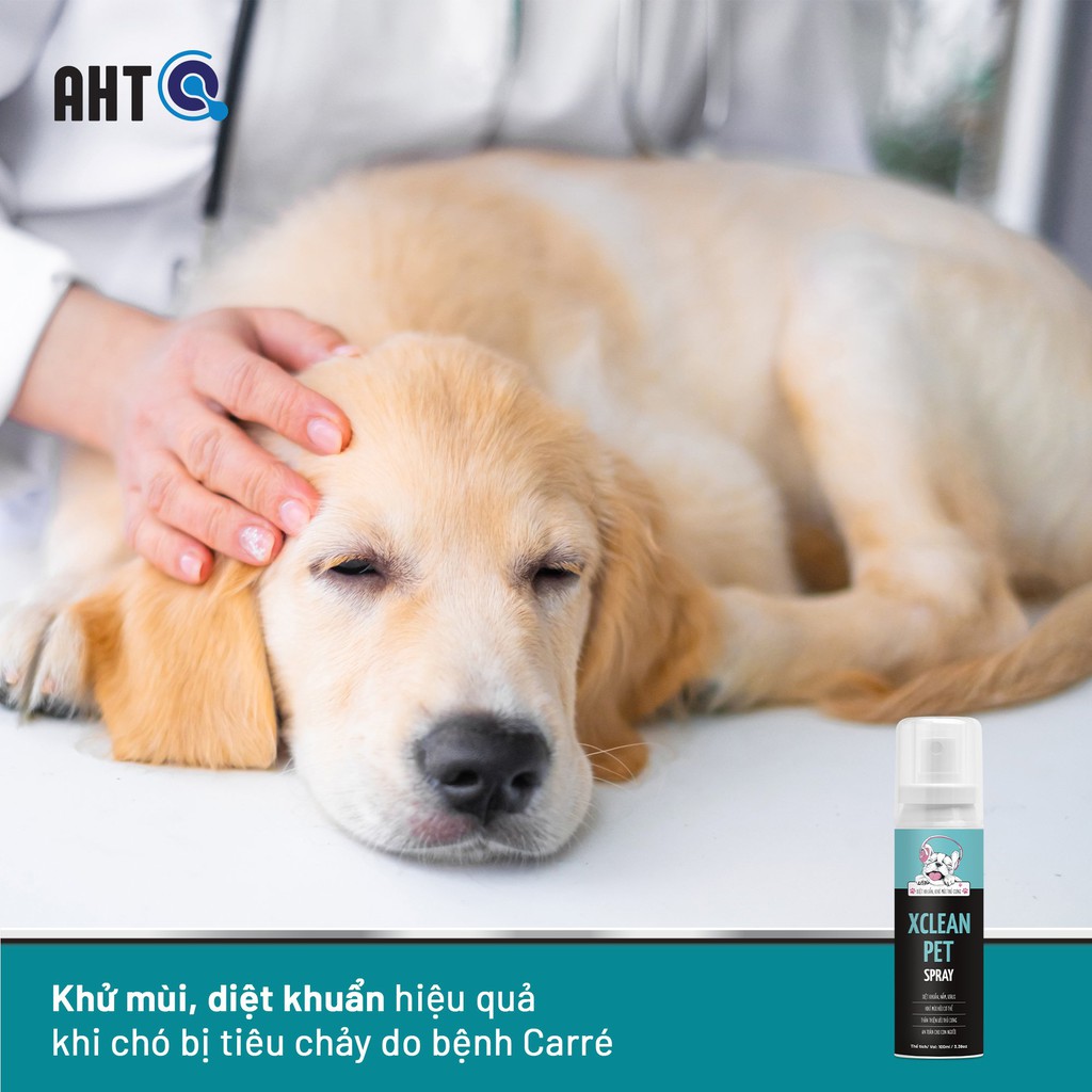 Chai Xịt Khử Mùi Hôi Thú Cưng Chó Mèo-Nano Bạc Diệt Khuẩn Xclean Pet 100ml-Xịt thơm miệng Thú Cưng-AHT Corp (AHTC)