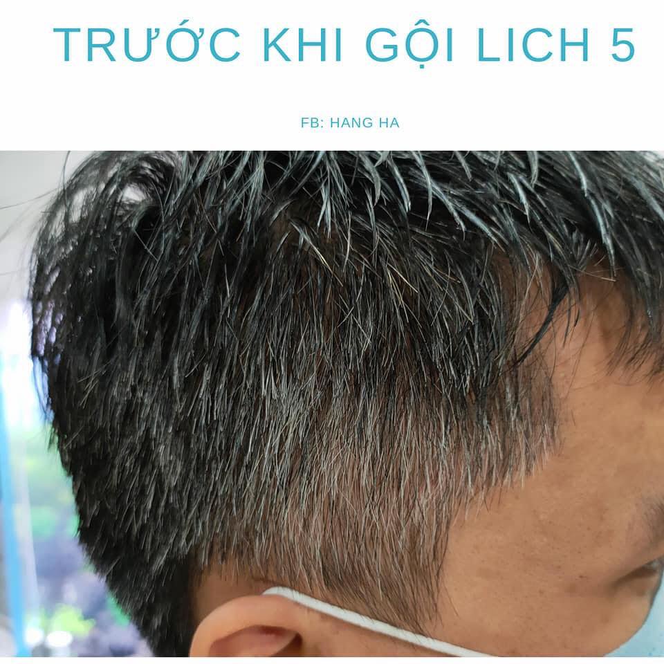 [MUA 5 GÓI TẶNG 1 GÓI] Dầu gội thảo dược đen tóc Lich5 - Gội đen chỉ sau 5 phút, PANDAR