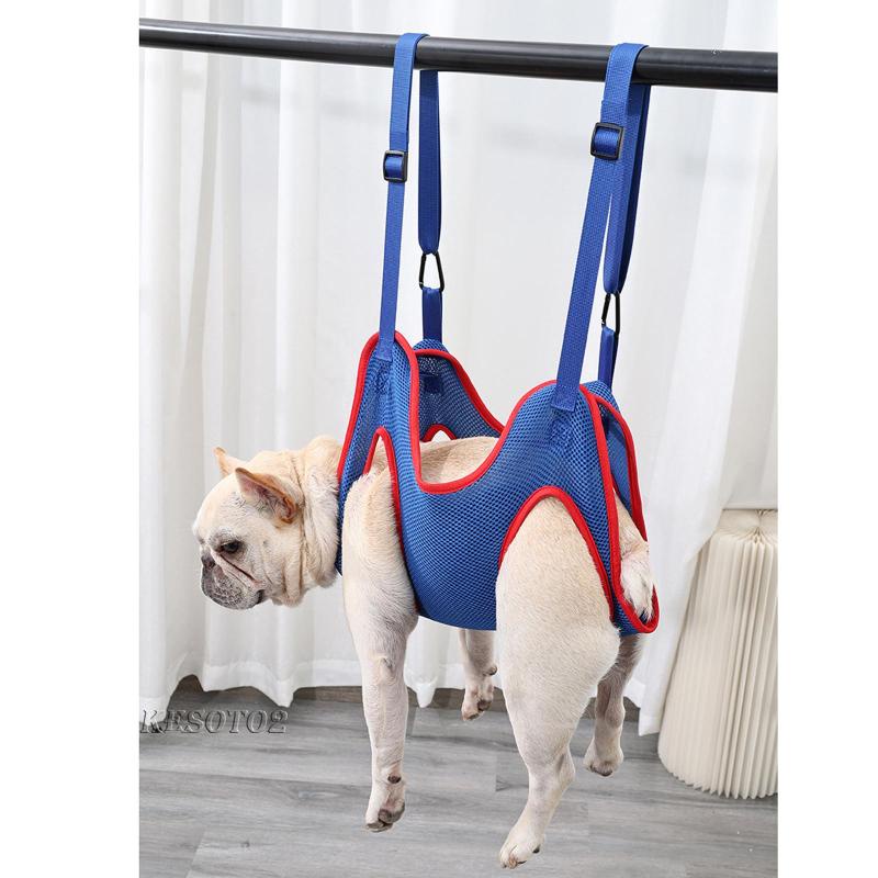 [Kesoto2] Giá Đỡ Treo Võng Thoáng Khí Để Chăm Sóc Móng Chó Mèo