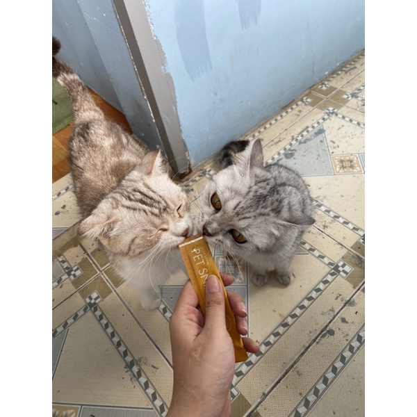 Súp thưởng NINELIVES bò phomai cho mèo cưng - ciao soup thưởng 15gr