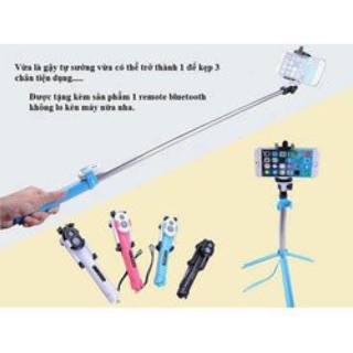 Gậy tự sướng 3 chân có remode bluetooth.