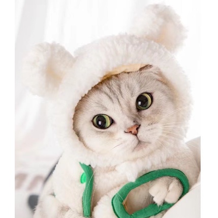 Mũ tai bèo cho mèo, mũ đội đầu cho thú cưng, mũ tai bèo cho chó loại vừa và nhỏ