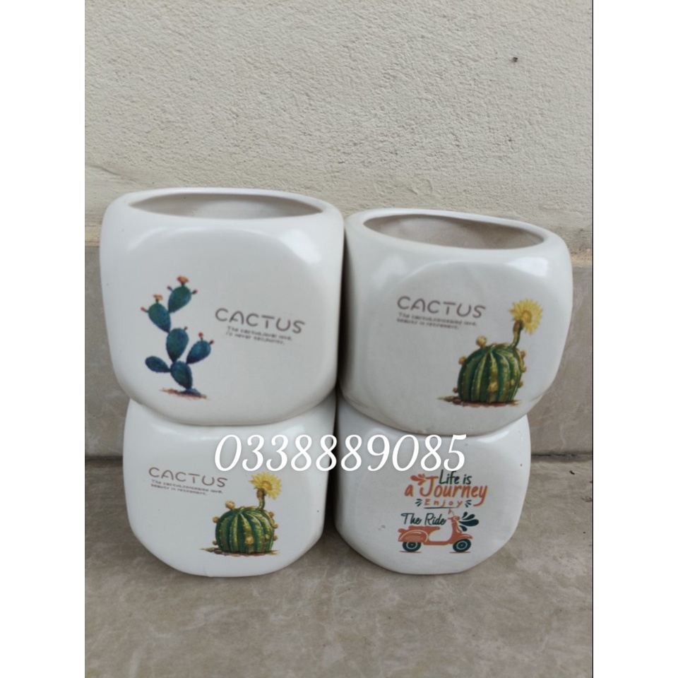 Chậu sứ bát tràng hộp vuông in hình cute trồng xương rồng, sen đá, derco siêu đẹp.