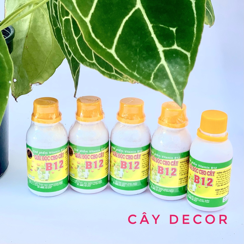 B12 giải độc cho cây [HÀNG CHUẨN] chai tiện lợi 100ml