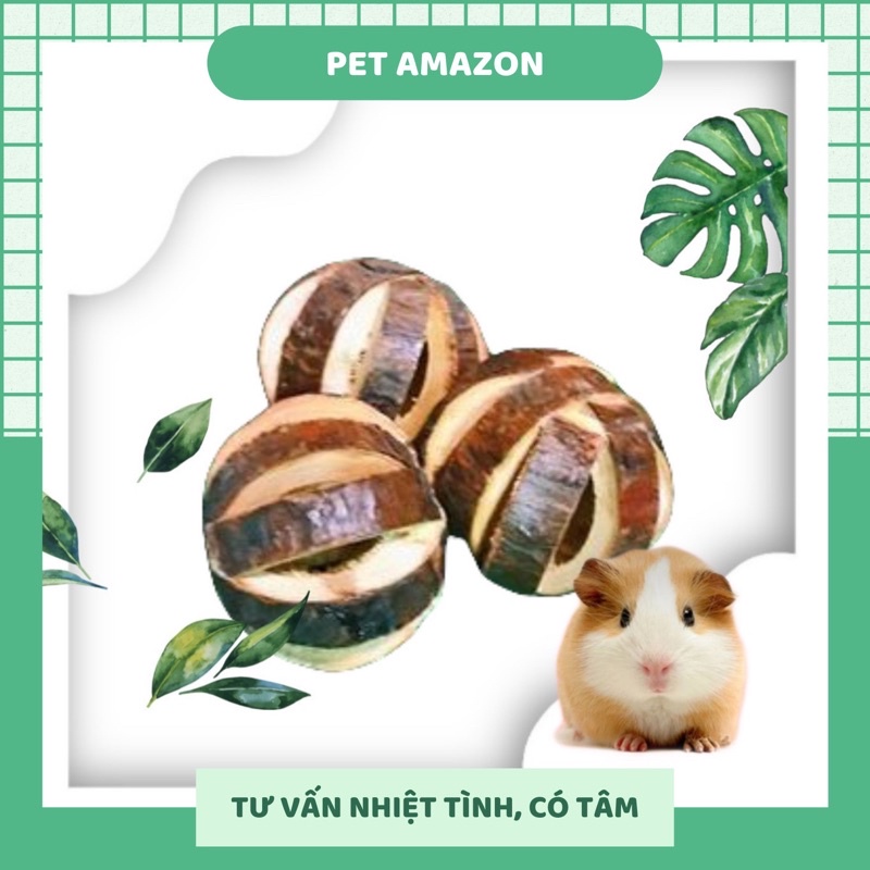 bóng gỗ cho hamster